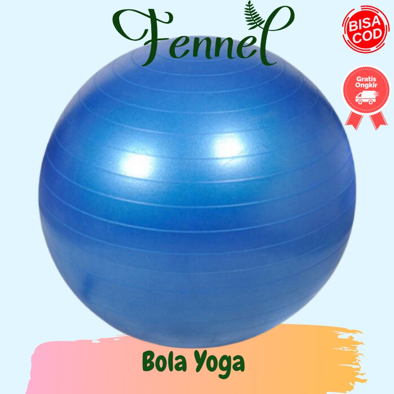 Bola Yoga Pilates Fitness Gym 55CM Biru