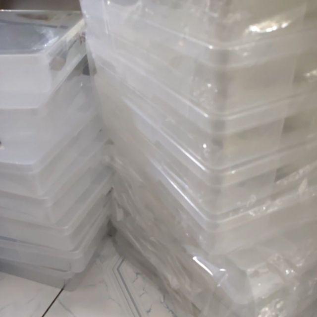 Kotak Penyimpanan 12 Sekat Gl-1417 Green Leaf Murah