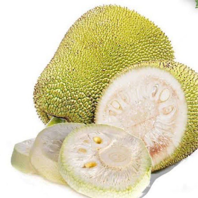 

Nangka Muda