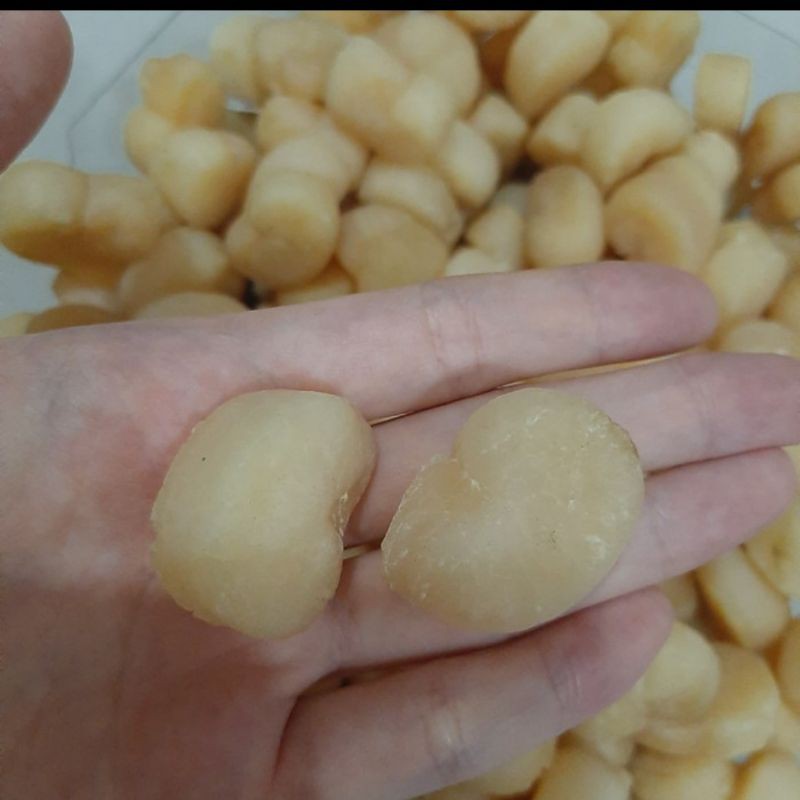 

SCALLOP CHINA KERING GAN YAU ZHU100GR