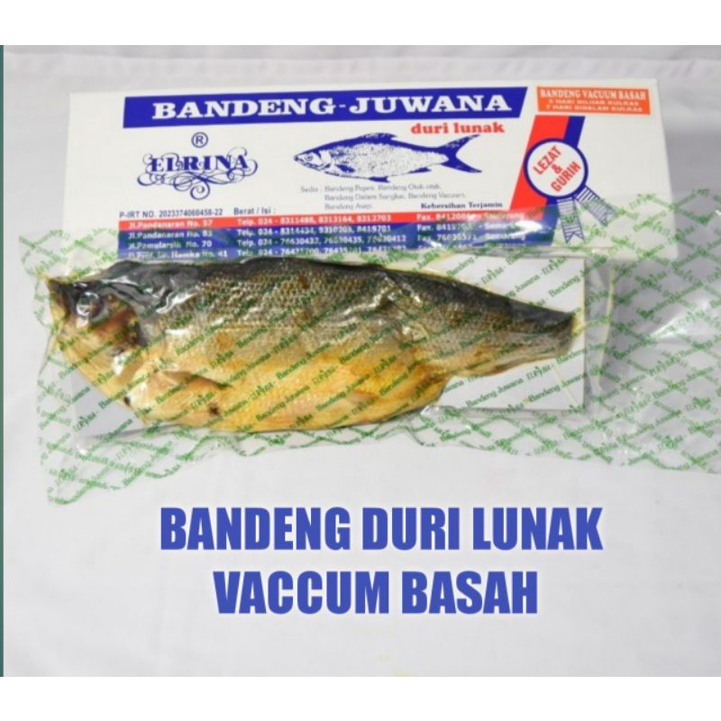 

BANDENG DURI LUNAK ELRINA VACCUM BASAH