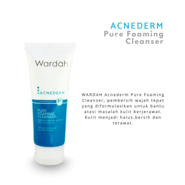 WARDAH PURE FOAMING CLEANSER