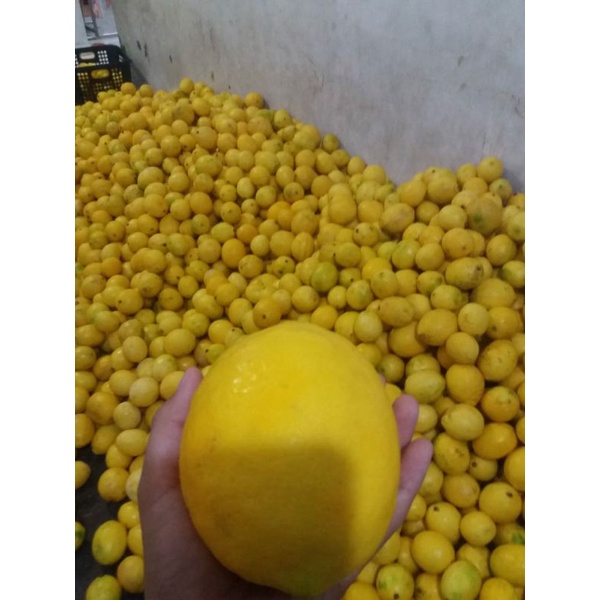 

lemon california