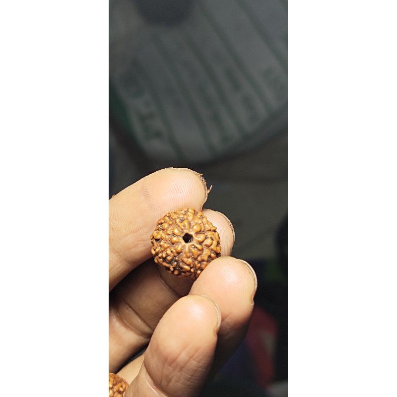 rudraksha mukhi 8 original