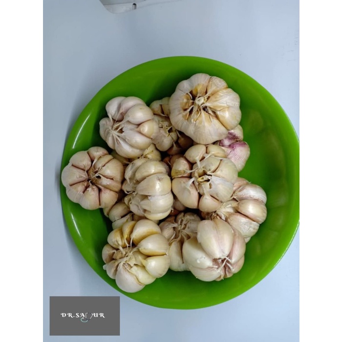 

vd2011c Bawang Putih Honan/Bawang Putih Banci Fsfs201