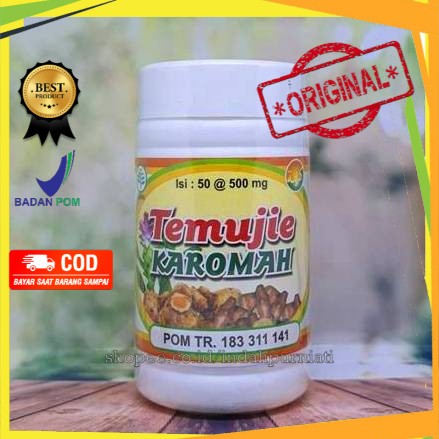 

Obat Liver Herbal Temujie Karomah