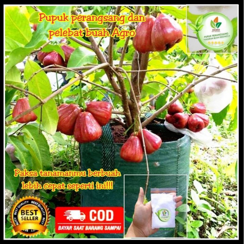 Pupuk agro bibit/grosir/pupuk buah/pupuk bunga/pupukorganik/pupukdaun/pupuk psb/pupuk zk/pupuk za/pu