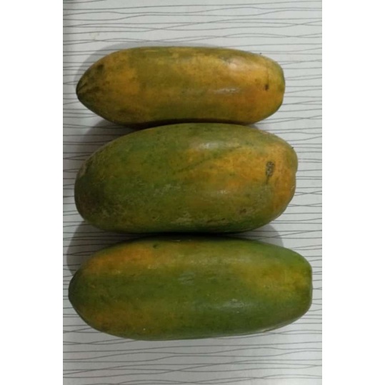 

Pepaya Matang Pohon