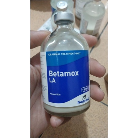 betamox la  obat hewan ternak