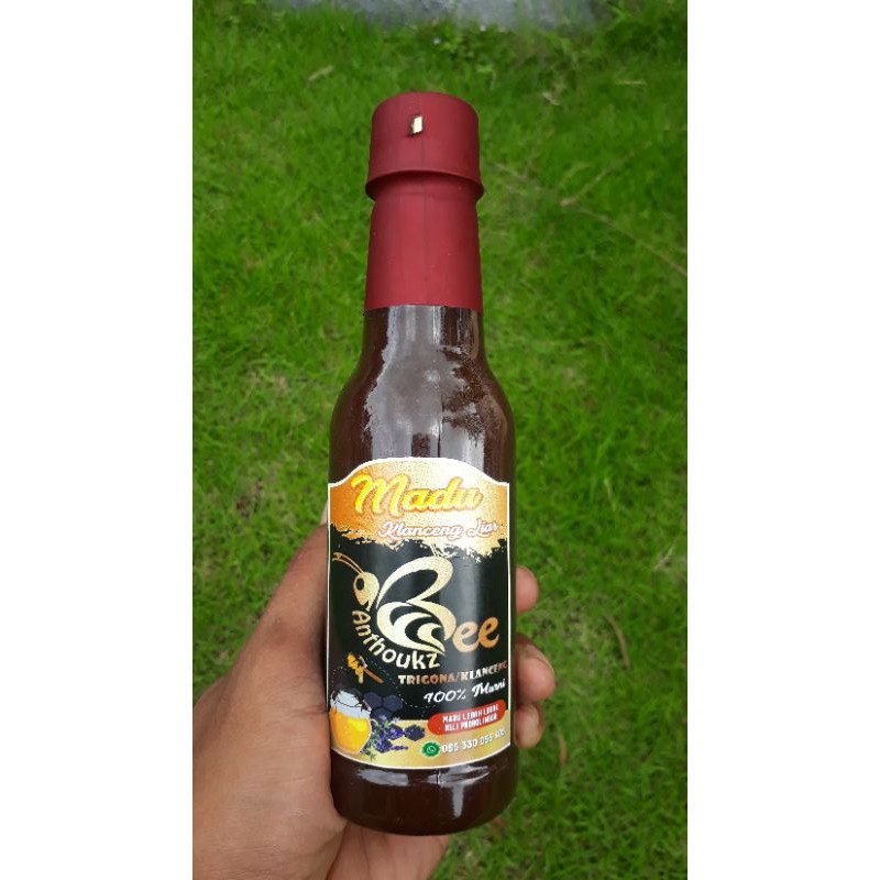 

MADU KLANCENG LIAR / TRIGONA Bambu