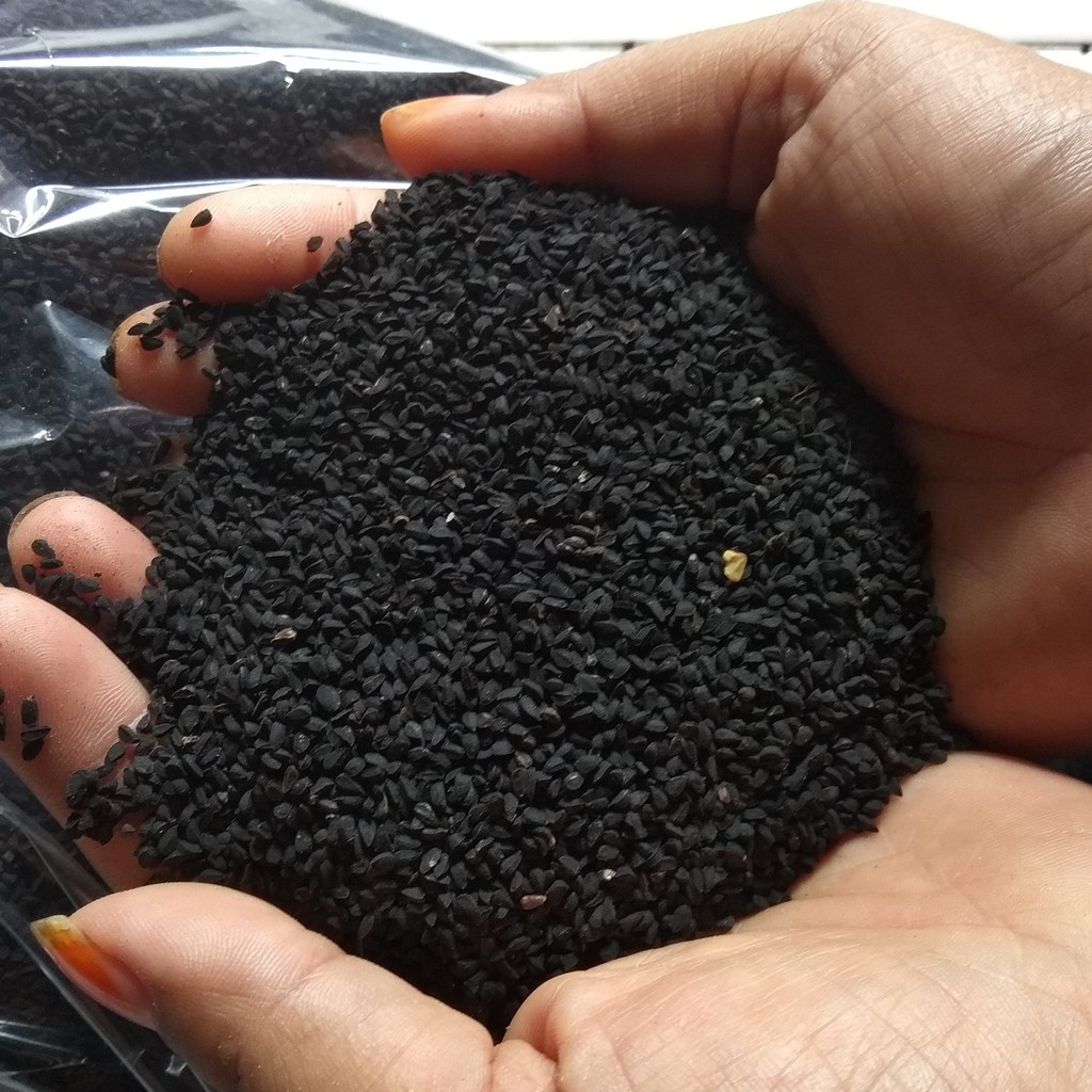 Jintan Hitam atau  habbatussauda , black seed ( 100 gram )