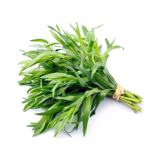 

Tarragon Organik 50 Gram