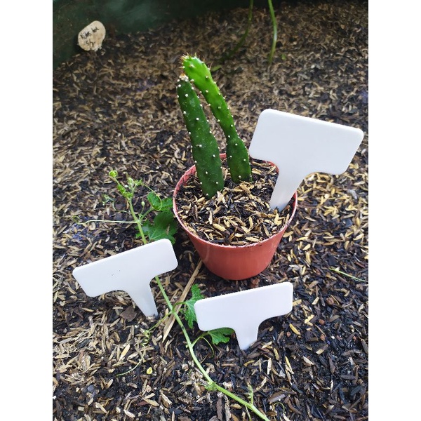 

White PVC Plant Label Name Tag Plastik Tanaman Hias Semai Benih Bibit - SKU 2.007.0150 - 10134 White
