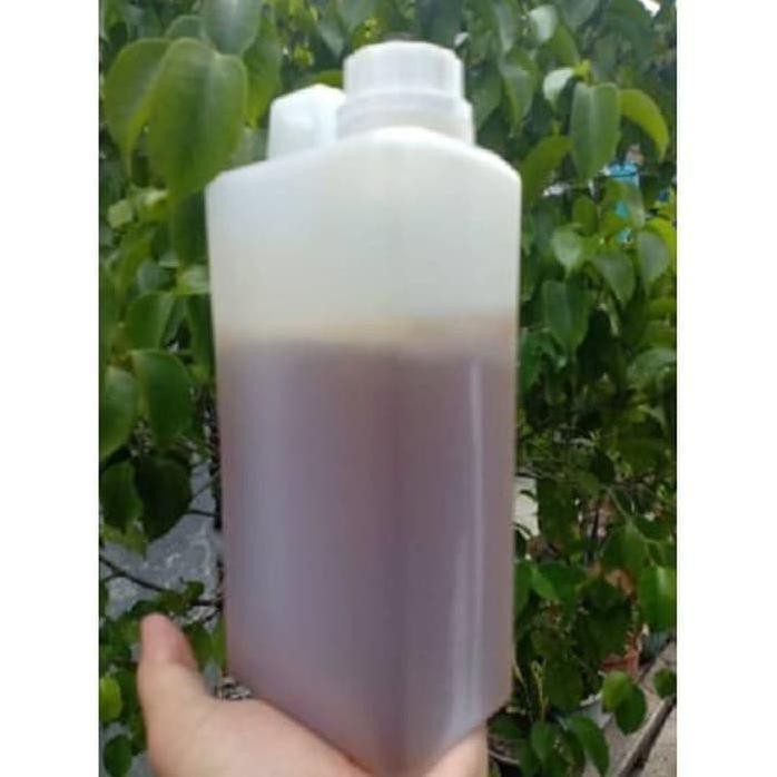 

MADU HUTAN LIAR SUMATRA 1KG MADU MURNI MADU MURAH MADU JAKARTA