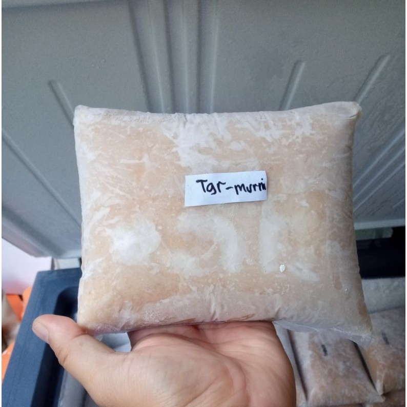 

IKAN TENGGIRI GILING KUALITAS STANDAR FRESH,IKAN TENGGIRI MURNI (Kemasan 1 Kg)
