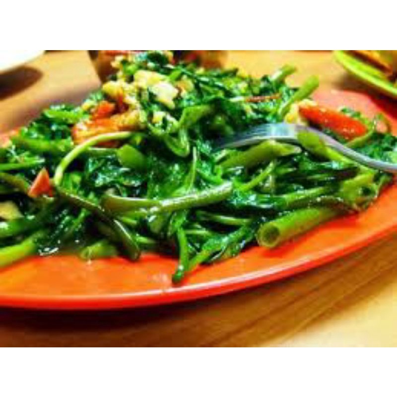 

family cathering!!! cah kangkung/bandung