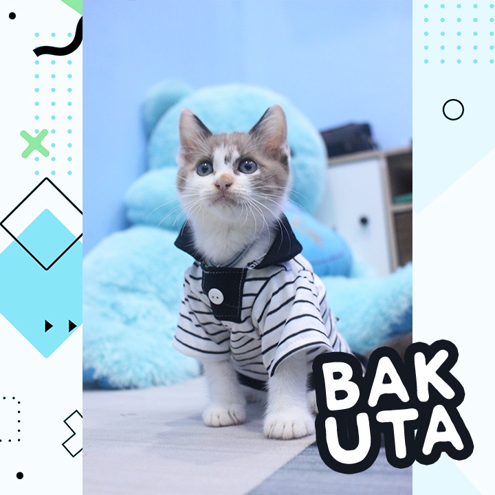 Kaos Lengan panjang polo No Motif #3404 / Baju Kucing tangerang murah / baju kucing lucu size S-XL