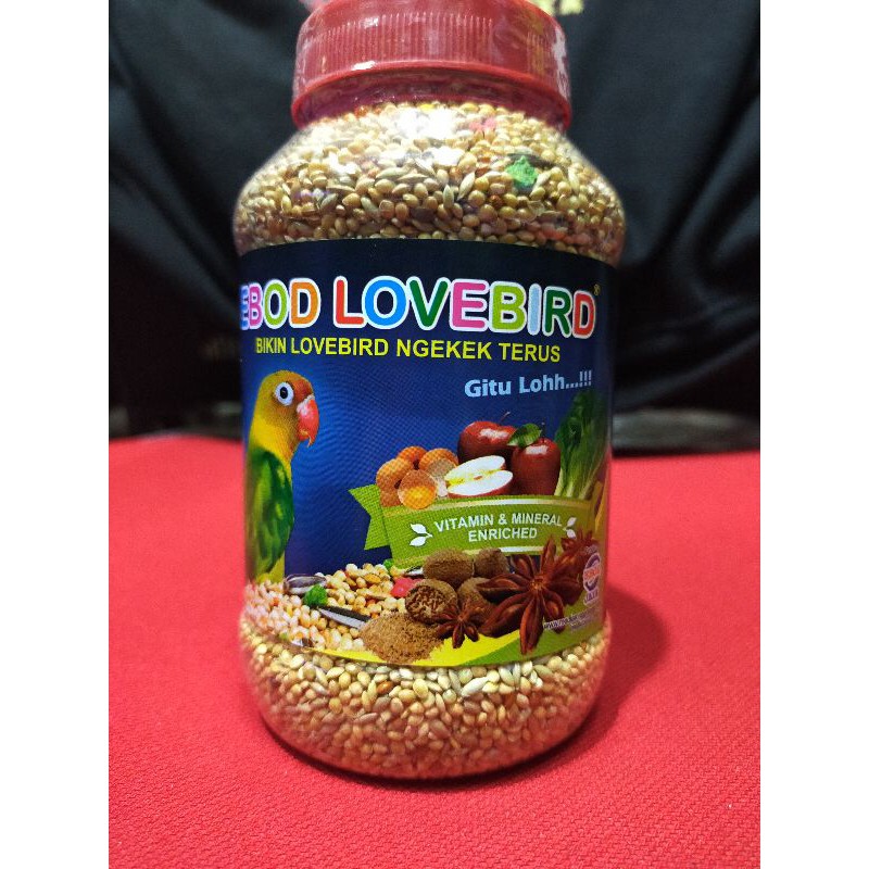 EBOD LOVEBIRD BOTOL