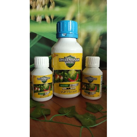 INSEKTISIDA-DHARMASAN600EC