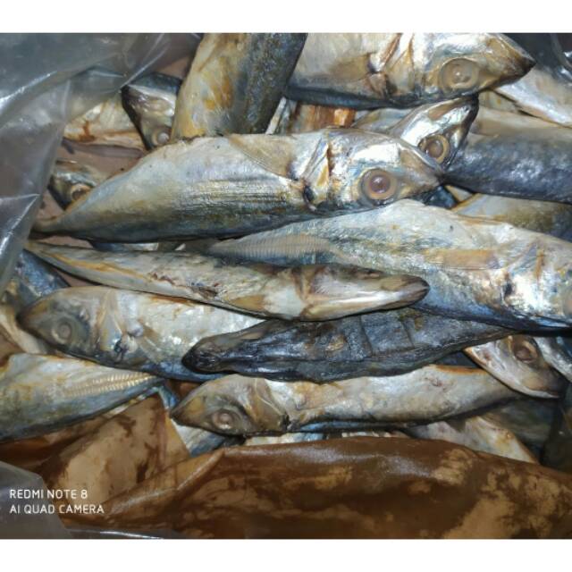 

ikan asin japuh 500gr paling murah