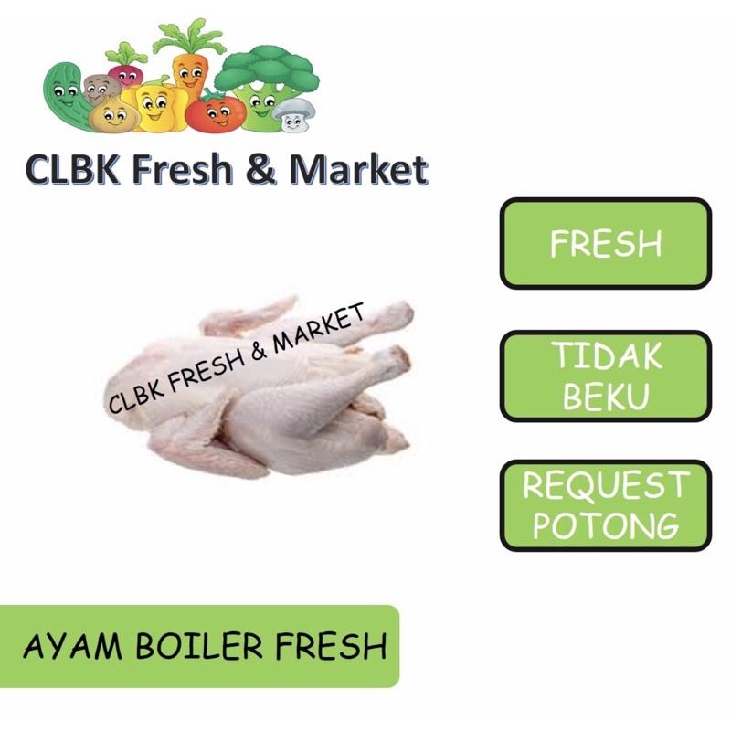 

ayam boiler fresh / ayam segar / daging ayam