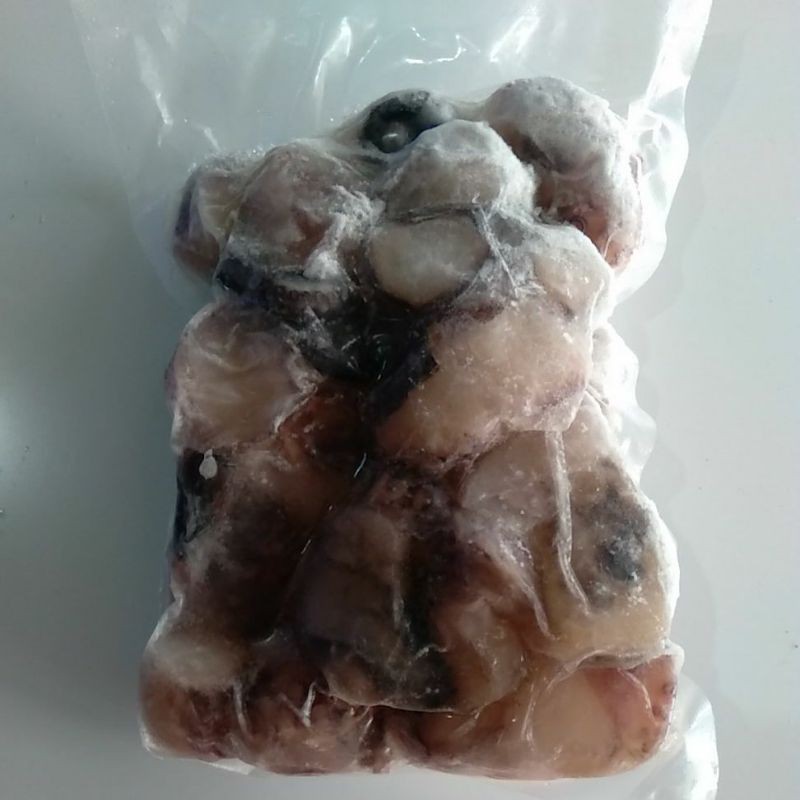 

baby gurita import 500gram