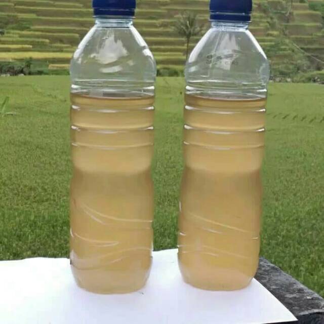 

air nira aren murni alami atau kawung fresh