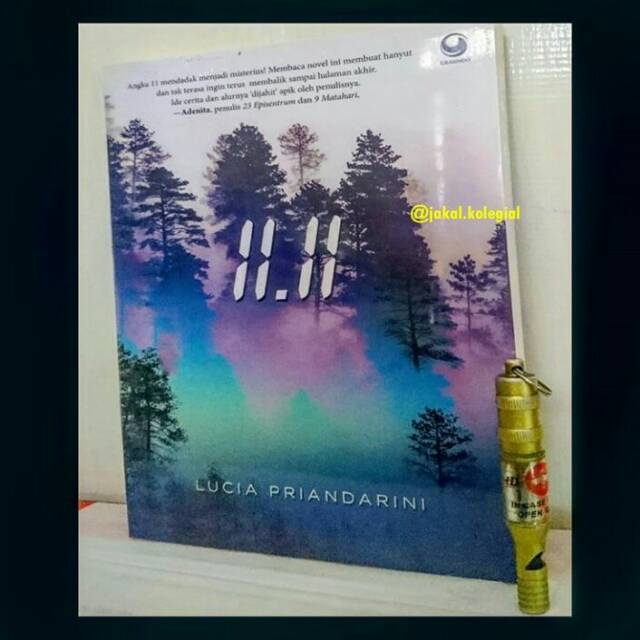 Novel 11 11 Lucia Priandarini