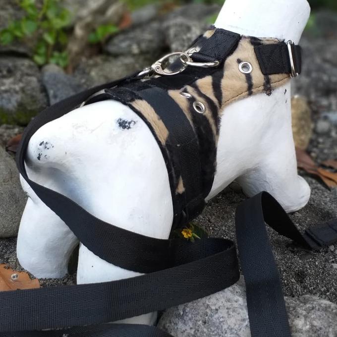 Terhot Rompi Harness Baju Musang Kucing Dan Otter Jogja - M