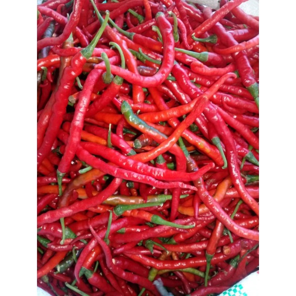 

cabe keriting/ego/Taro