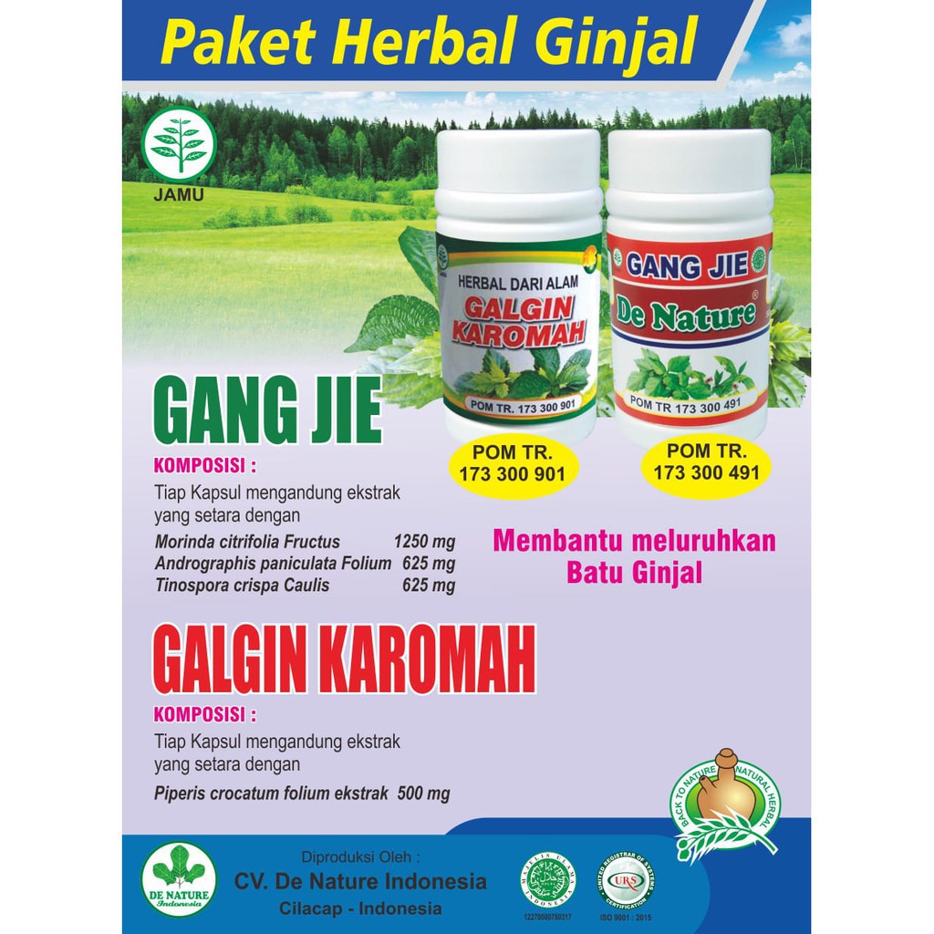 DE NATURE Obat Herbal Ginjal, Batu Ginjal, Kencing Batu Mengobati Masalah Ginjal