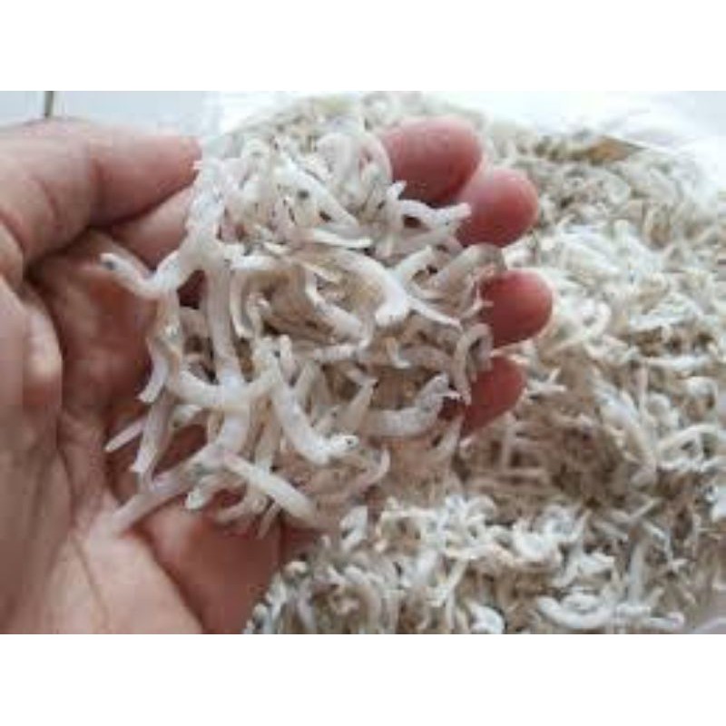 

ikan teri medan/teri nasi super
