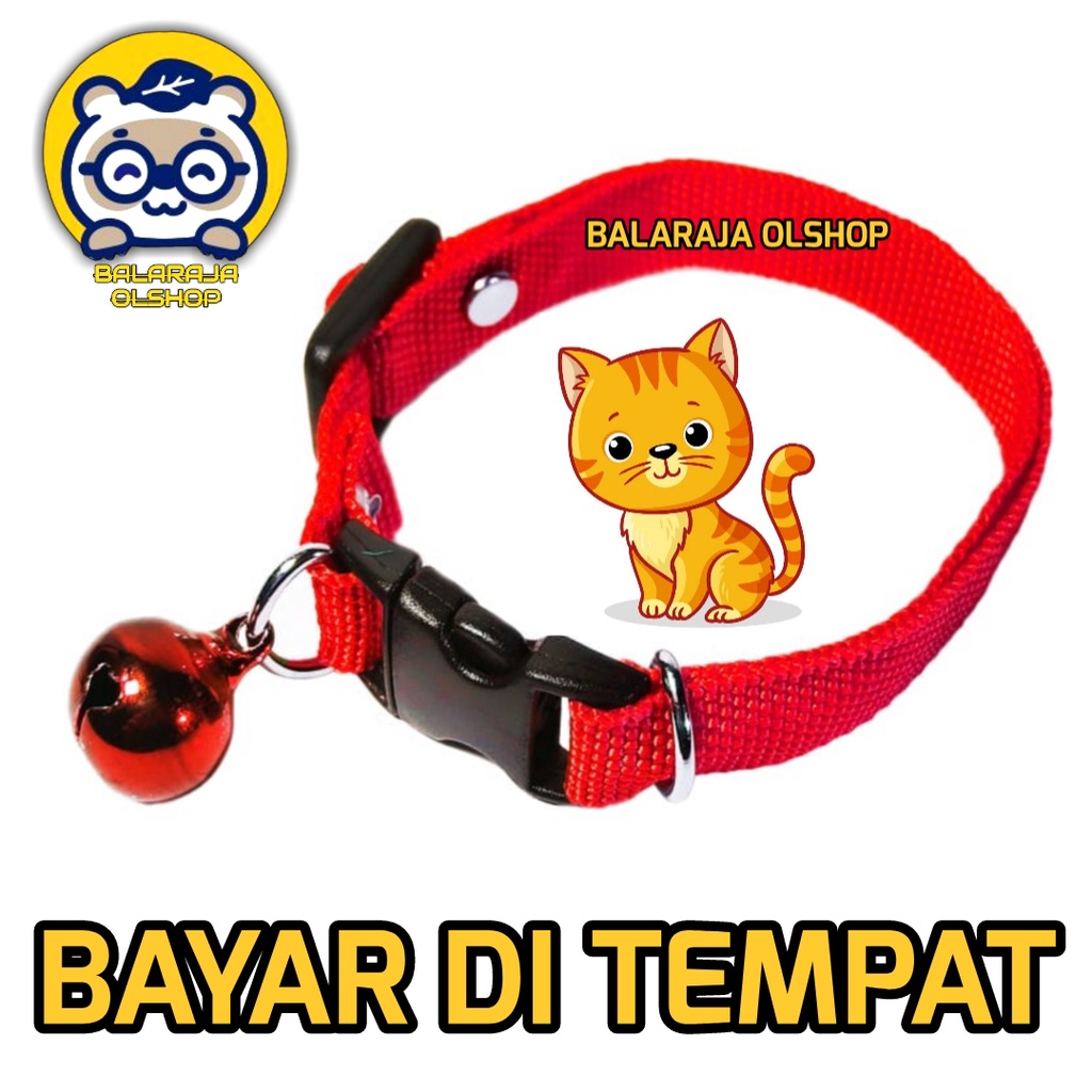 Kalung Kucing Musang Kelinci Polos Lonceng Ready Semua Warna