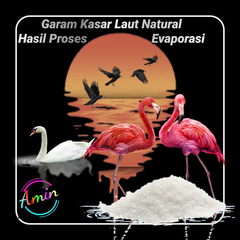 

Garam Laut Kasar 1 Kg - Natural Seasalt- Murni Melalui Proses Evaporasi Air Laut