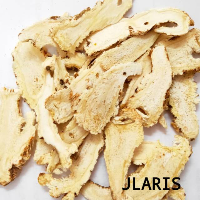 

Dang Gui / Tong Kui Tou / Angelica Roots (Slice) - Untuk Menambah Darah