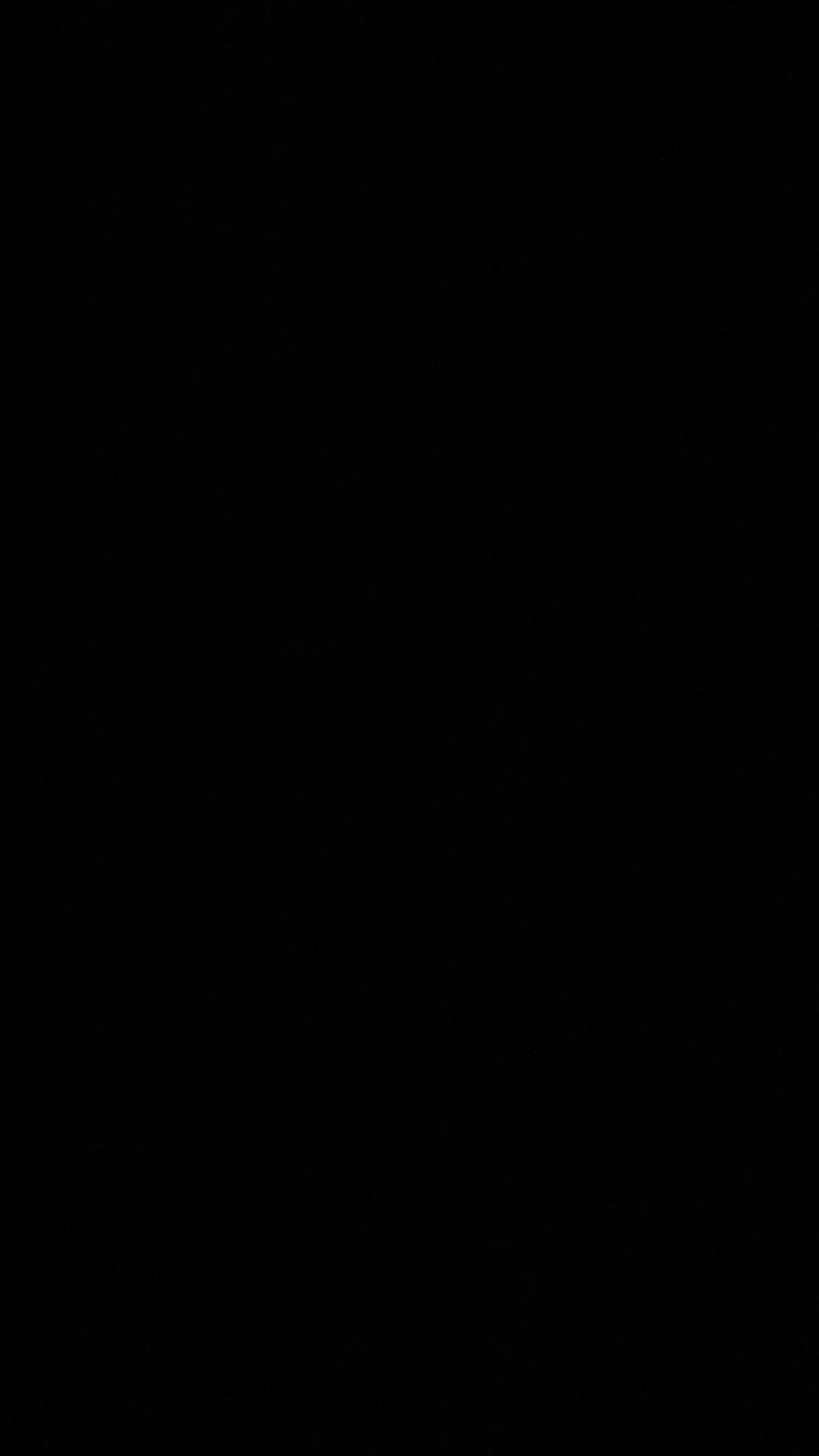 Wajan Besar 50 Cm Wajan Resto Nasi Goreng Chinese Food Plat Baja Hitam