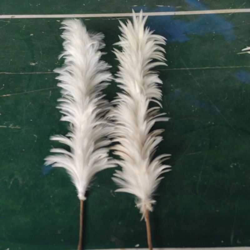 Bulu ayam/sabiki/pancing rawe
