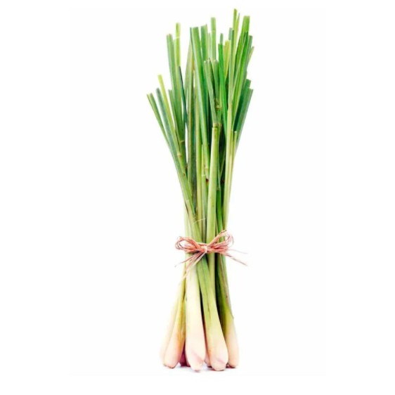 

Murah Sereh / Serai / Lemongrass