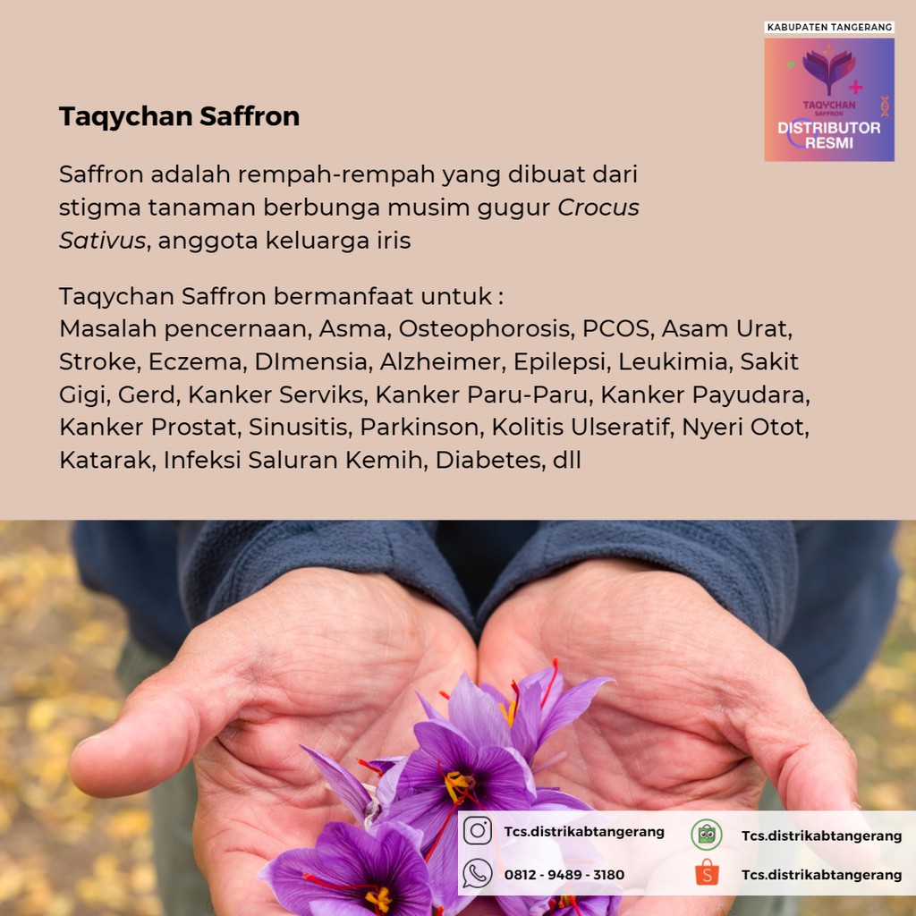 TAQYCHAN SAFFRON/SAFFRON SACHET ORIGINAL KASHMIR 100%