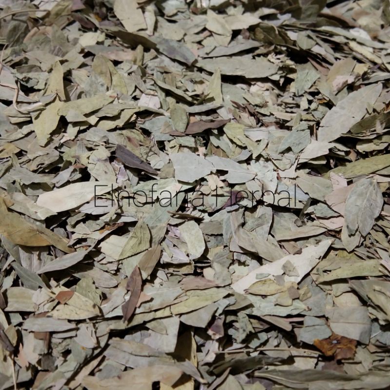 Teh Daun Jati Cina (eceran)