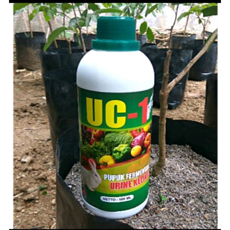 PUPUK FERMENTASI URIN KELINCI