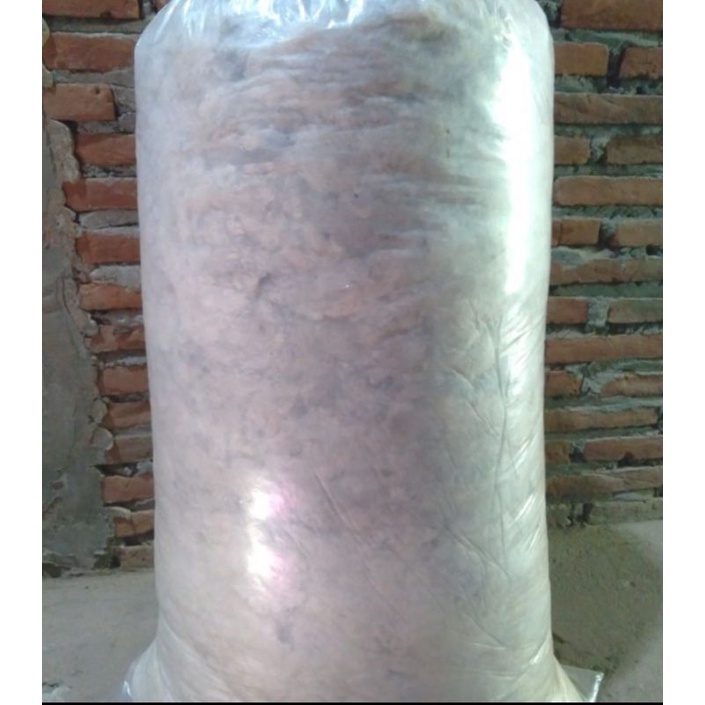 Kapuk Randu kiloan Tanpa Biji