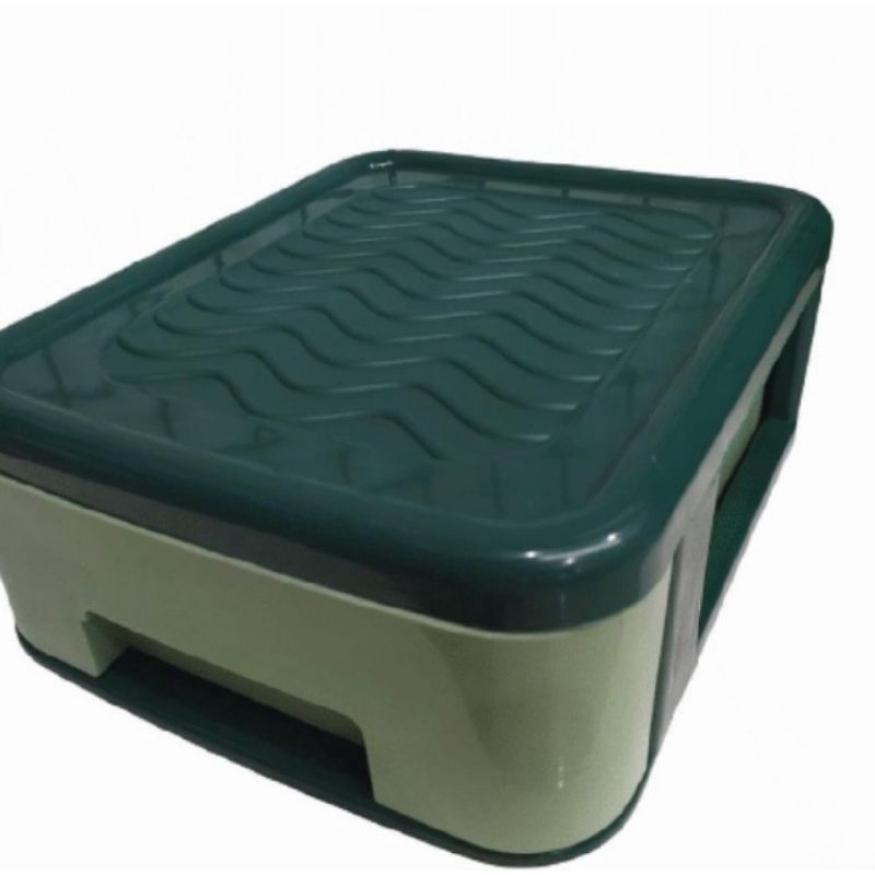 kotak / laci telur kapasitas: 20 telur wadah tempat Endog telur