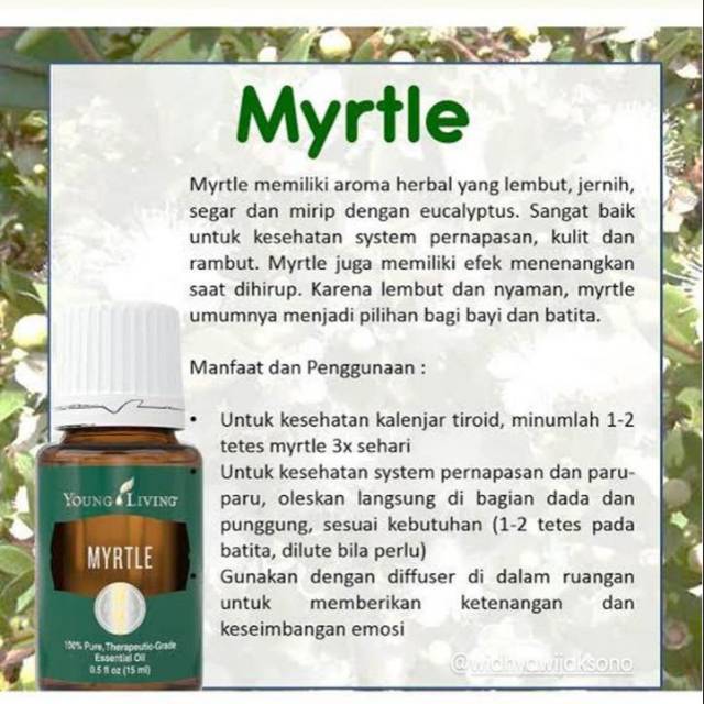 Young Living Myrtle Singapore 15ml