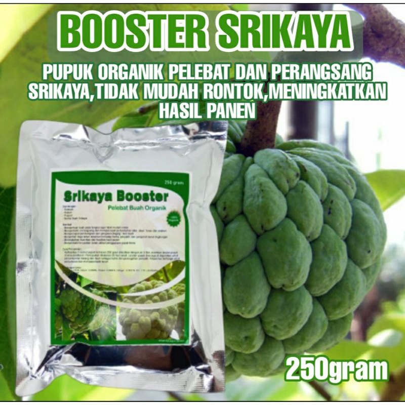 Booster Srikaya,Pupuk organik booster Srikaya