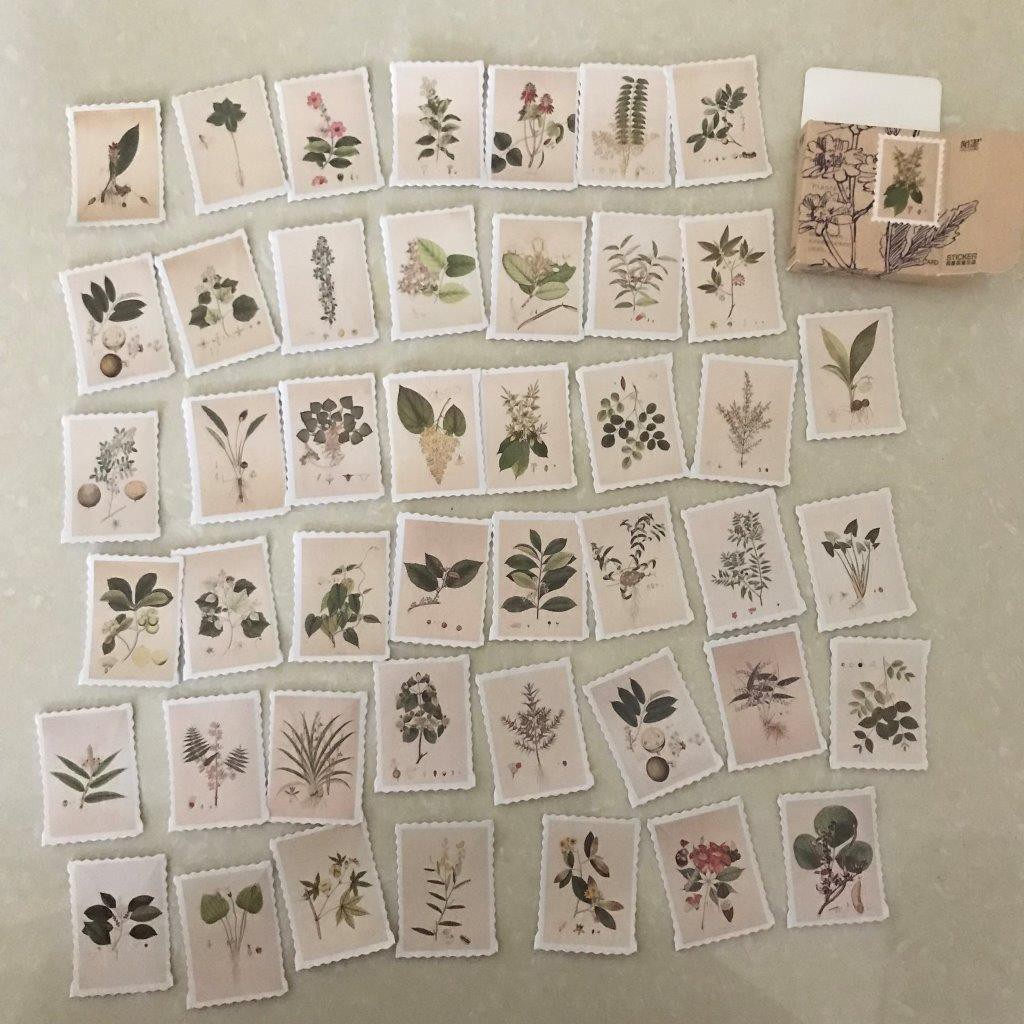 

Stiker plants stiker vintage stiker tanaman stiker bunga