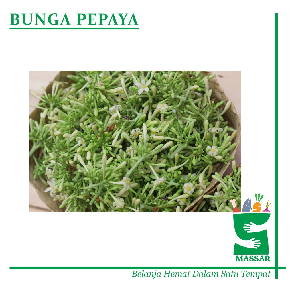 

SAYUR BUNGA PEPAYA 100gr