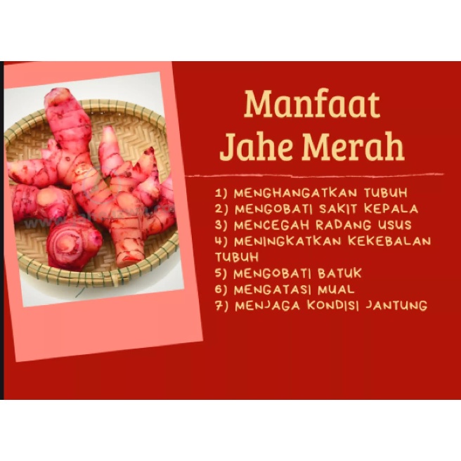 Instan Jahe Merah  Amanah Super AMH ORIGINAL ( + Habbatussauda, ginseng dan madu )