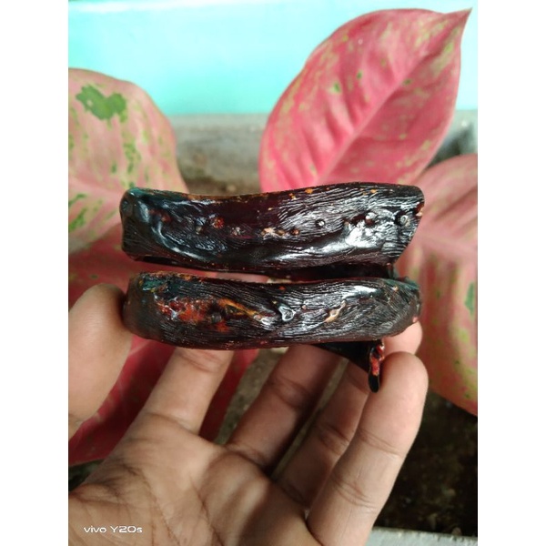 GELANG AKAR BAHAR MERAH BODY HITAM ASLI, TEMBUS CAHAYA