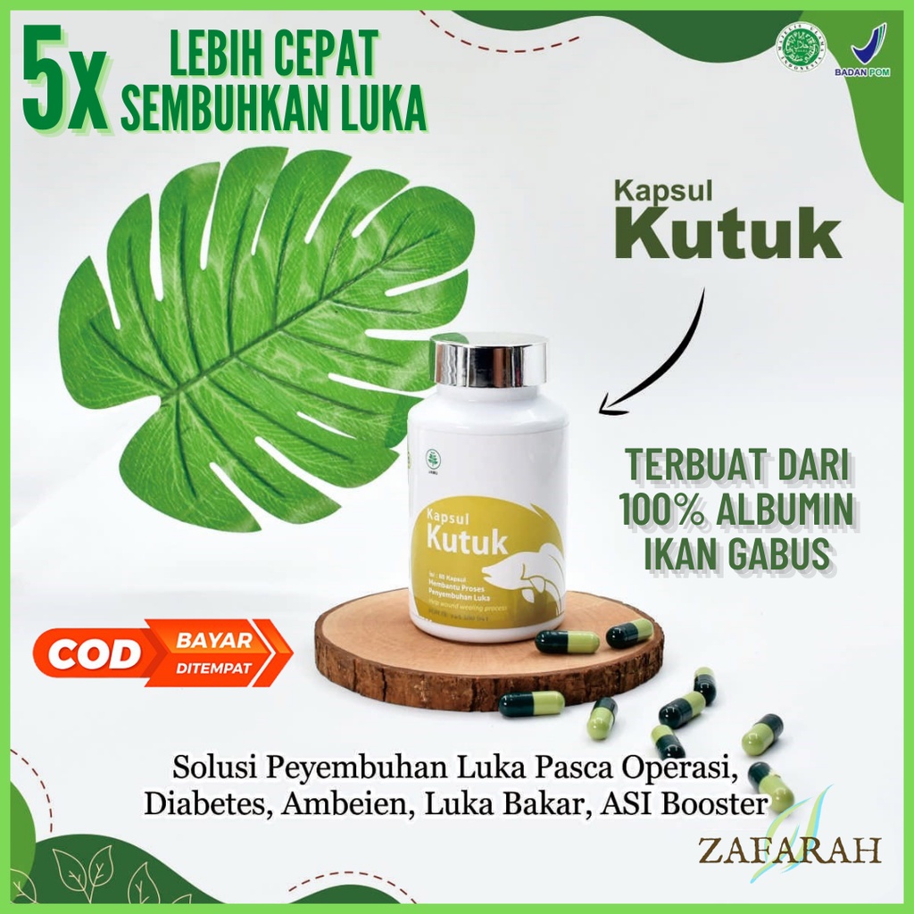 Promo KAPSUL KUTUK Ekstrak Albumin Ikan Gabus Original / Pengering Luka Diabetes &amp; Operasi Bekas Luka Cepat Kering / Pelancar Asi Booster